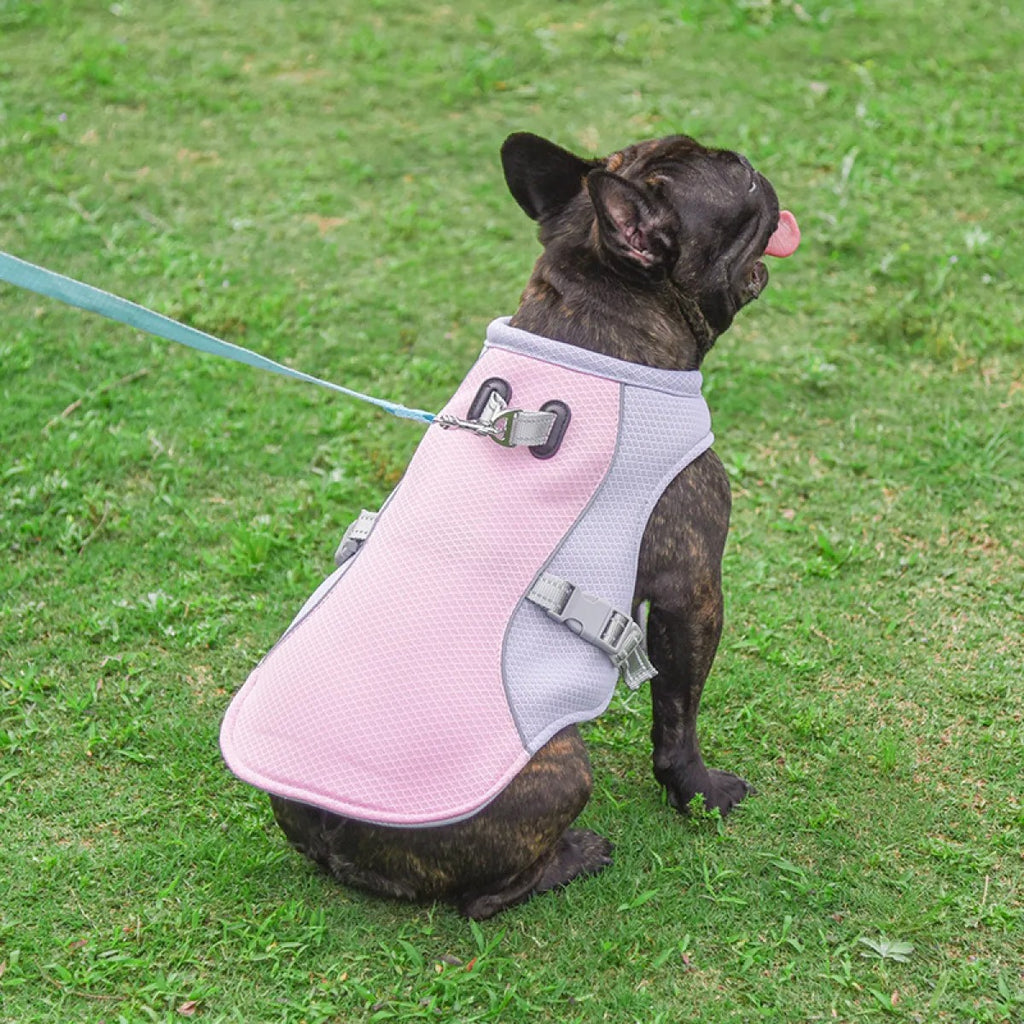 Dog Cooling Vest — Breathable Best Summer Cooling Jacket for Dogs, Lightweight Heat Relief Vest for Small Medium Large Breeds