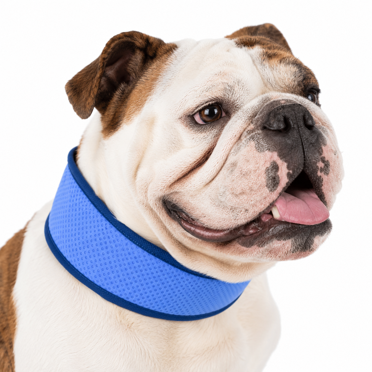 Dog Cooling Collar — Breathable Summer Cooling Neck Wrap for Dogs, Heat Relief Cooling Scarf for Small Medium Breeds, Outdoor Walking Cooling Bandana