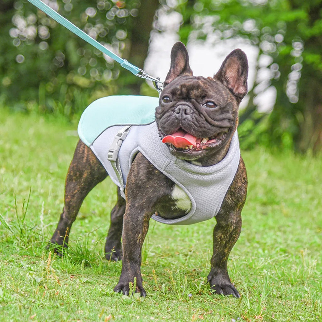 Dog Cooling Vest — Breathable Best Summer Cooling Jacket for Dogs, Lightweight Heat Relief Vest for Small Medium Large Breeds