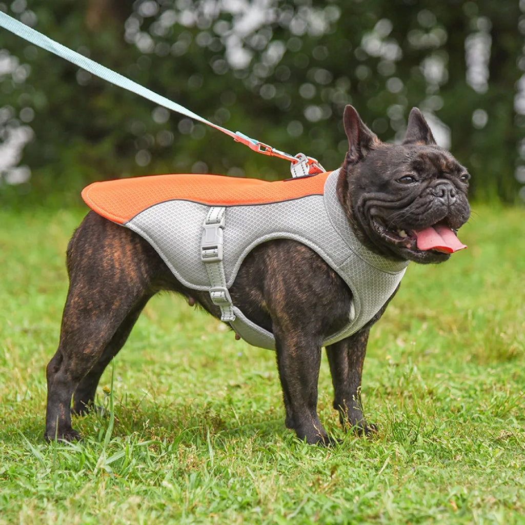 Dog Cooling Vest — Breathable Best Summer Cooling Jacket for Dogs, Lightweight Heat Relief Vest for Small Medium Large Breeds
